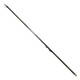 Вудилище болонське Mikado Princess Carbon 4m 10-30g