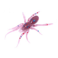 Силіконова приманка Perchik Tiny Spider 1.1