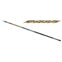 Болонське вудлище Fishing ROI Cyclone 600 з/к