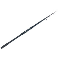 Спінінг телескопічний HUNTER tele carp 3605 250гр 