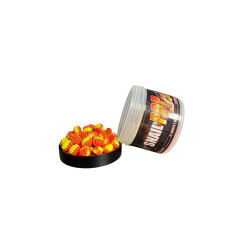 Pop-ups Snail Trinity Baits COCONUT 6x10мм.