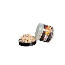 Pop-ups Snail Trinity Baits NECTAR 6x10мм.