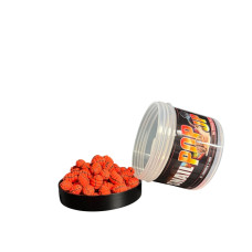 Pop-ups Snail Trinity Baits PLUM ROYAL 6x10мм.