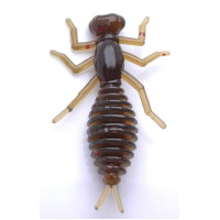 Силіконова приманка Perch'ik Beetle 1.5" (12шт) col. 13