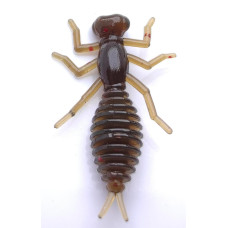 Силіконова приманка Perch'ik Beetle 1.5" (12шт) col. 13