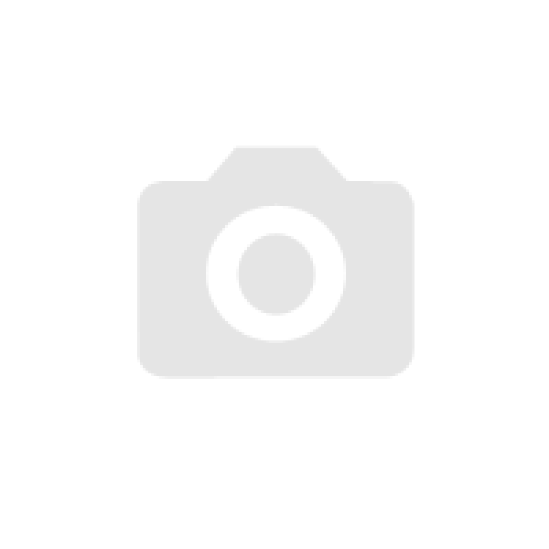 Балон газовий Interglobus 225гр